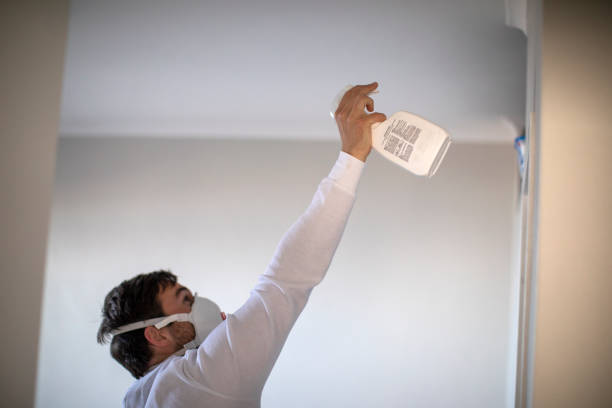 Crawl Space Mold Removal in Clintonville, WI